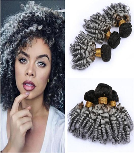 aunty funmi silver grey ombre virgin brazilian hair weave bundles 3pcs lot 1bgrey dark root ombre bouncy curly human hair weft e2766908, Black
aunty funmi silver grey ombre virgin brazilian hair weave bundles 3pcs lot 1bgrey dark root ombre bouncy curly human hair weft e2766908, Black