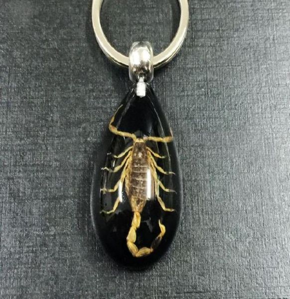 fashion jewelry yqtdmy key chains 17 pcs real insect gold scorpion key ring black drop design keychain3897757, Slivery;golden
fashion jewelry yqtdmy key chains 17 pcs real insect gold scorpion key ring black drop design keychain3897757, Slivery;golden