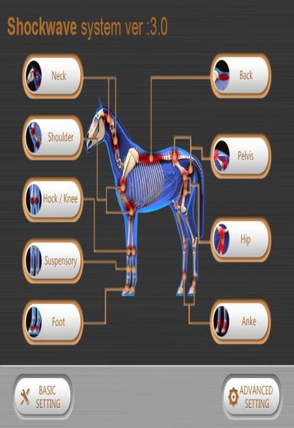 portable eswt shock wave machine shockwave use in equine practice animal therapy for horses suspensory4313286
portable eswt shock wave machine shockwave use in equine practice animal therapy for horses suspensory4313286