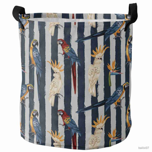 basket parrot bird of paradise blue and gray stripes dirty laundry basket home organizer basket clothing kids toy storage basket
basket parrot bird of paradise blue and gray stripes dirty laundry basket home organizer basket clothing kids toy storage basket
