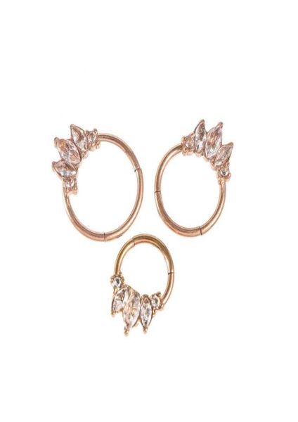 crystal hinged ring septum clicker nose rings daith piercing tragus lip earring zircon 16g hoop rose gold 8mm 10mm9816583, Silver
crystal hinged ring septum clicker nose rings daith piercing tragus lip earring zircon 16g hoop rose gold 8mm 10mm9816583, Silver