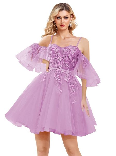 short homecoming dresses spaghetti appliques sweetheart a-line tulle party gowns princess plus size mini birthday prom graudation cocktail p, Blue;pink
short homecoming dresses spaghetti appliques sweetheart a-line tulle party gowns princess plus size mini birthday prom graudation cocktail p, Blue;pink