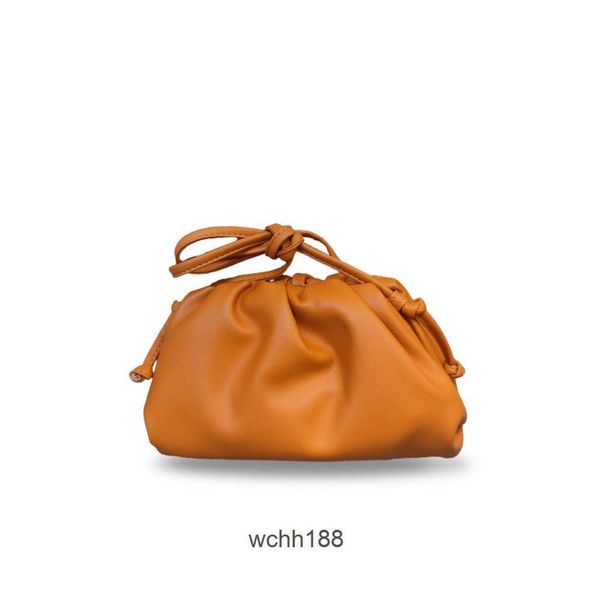 small single designer 2023 bag girl bags size version pleated clip same handheld bottegas shoulder crossbody evening women co7i
small single designer 2023 bag girl bags size version pleated clip same handheld bottegas shoulder crossbody evening women co7i