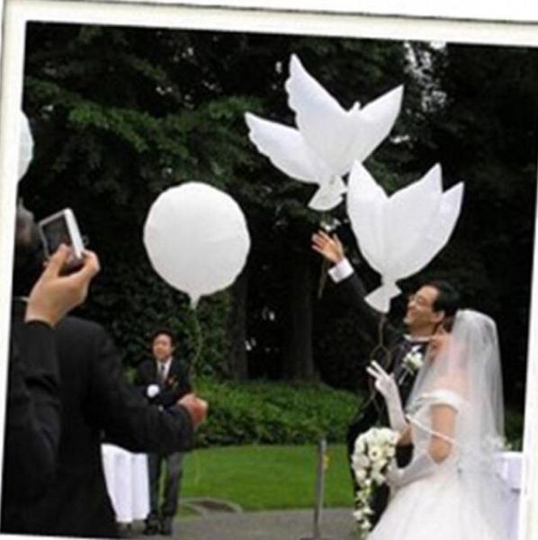 wedding decoration white dove balloon white wedding balloons ecofriendly biodegradable helium balloons party favors 10pcslot8643226
wedding decoration white dove balloon white wedding balloons ecofriendly biodegradable helium balloons party favors 10pcslot8643226