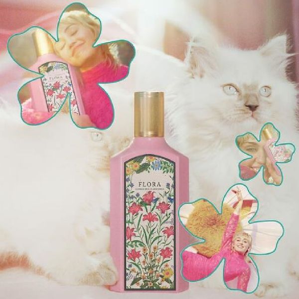 perfume for women parfum dubai perfume women perfume origin women cologne fragrance fast shipping wholesale ing
perfume for women parfum dubai perfume women perfume origin women cologne fragrance fast shipping wholesale ing