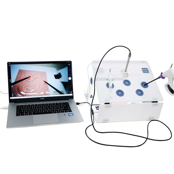 tools laparoscopic surgical training box with1080p endoscope camera and 4 instruments teaching practice equipments
tools laparoscopic surgical training box with1080p endoscope camera and 4 instruments teaching practice equipments