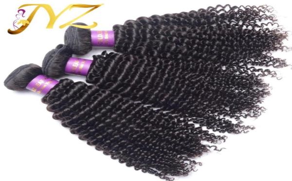 goldleaf mongolian kinky curly virgin hair 3 pieceslot 100 brazilian human hair weaving kinky curly peruvisan malaysian hair ext306127861, Black
goldleaf mongolian kinky curly virgin hair 3 pieceslot 100 brazilian human hair weaving kinky curly peruvisan malaysian hair ext306127861, Black