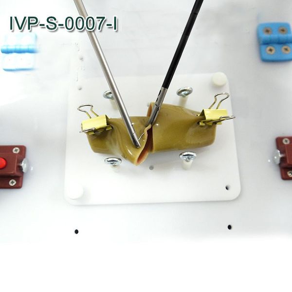 tools intestinal suture training model intestinal suture model bracket clip laparoscopic surgery training practice aids
tools intestinal suture training model intestinal suture model bracket clip laparoscopic surgery training practice aids