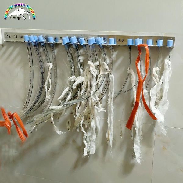 tools tracheal intubation hanger 304 stainless steel hanger disposable tracheal intubation bracket defective
tools tracheal intubation hanger 304 stainless steel hanger disposable tracheal intubation bracket defective