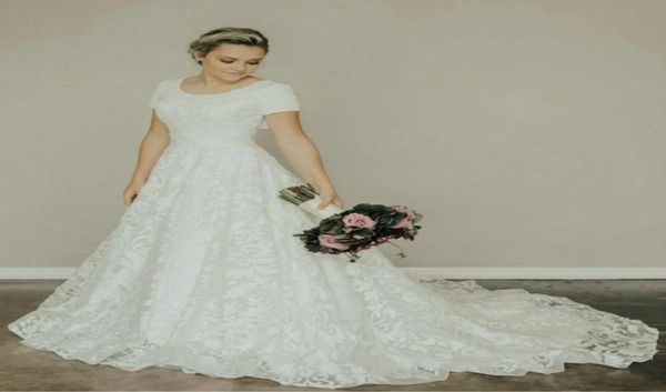 vintage lace aline long modest wedding dress with short sleeves scoop neck buttons back simple elegant country wedding gowns mode1333832, White
vintage lace aline long modest wedding dress with short sleeves scoop neck buttons back simple elegant country wedding gowns mode1333832, White