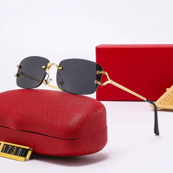 carti designer sunglasses men women fashion frameless rectangle coating buffalo horn sunglass uv400 evidence eyeglass mens eyewear eyelgasse, White;black
carti designer sunglasses men women fashion frameless rectangle coating buffalo horn sunglass uv400 evidence eyeglass mens eyewear eyelgasse, White;black