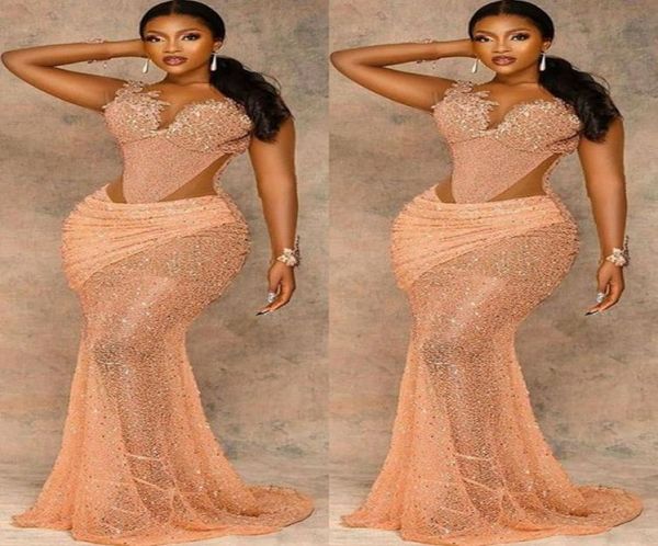 2021 plus size arabic aso ebi mermaid gold lace prom dresses sheer neck beaded evening formal party second reception gowns dress z6121006, Black
2021 plus size arabic aso ebi mermaid gold lace prom dresses sheer neck beaded evening formal party second reception gowns dress z6121006, Black