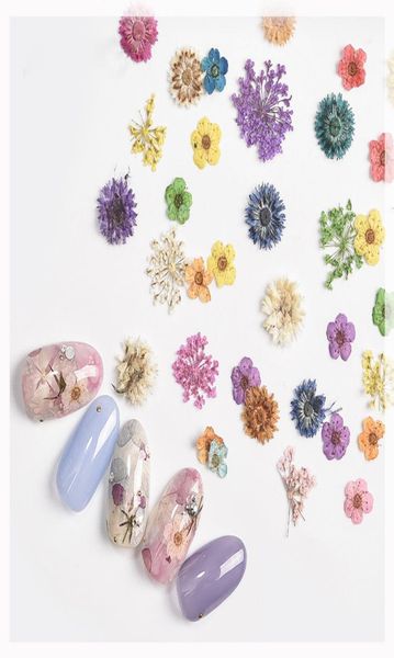 nail art dried flower decoration set natural nail true dry flower daisybabysbreathfive petal series accessories6985223, Silver;gold
nail art dried flower decoration set natural nail true dry flower daisybabysbreathfive petal series accessories6985223, Silver;gold