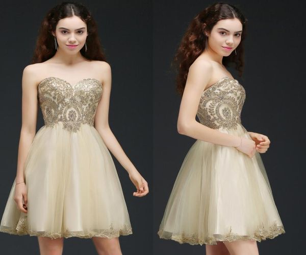 2018 new lace beaded short a line homecoming dresses champagne sweetheart lace up cocktail party gowns mini prom dresses cps1079613, Blue;pink
2018 new lace beaded short a line homecoming dresses champagne sweetheart lace up cocktail party gowns mini prom dresses cps1079613, Blue;pink