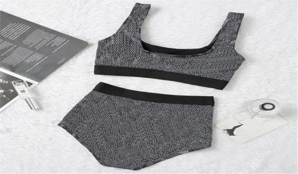 women bikini swimsuit set swimwear suits fashion tracksuits 5 styles9508631
women bikini swimsuit set swimwear suits fashion tracksuits 5 styles9508631