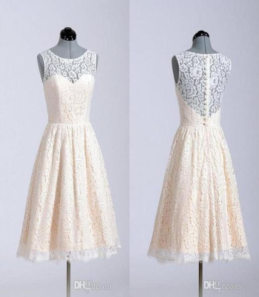 lace bridesmaid dresses 2019 a line short coral lavender knee length custom made in stock for wedding party 511257, Blue;red
lace bridesmaid dresses 2019 a line short coral lavender knee length custom made in stock for wedding party 511257, Blue;red
