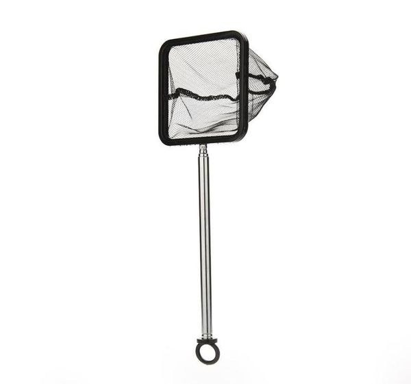 1pc 2040cm aquarium extendable handle shrimp small betta fish tank net square black 66 w21596395 
1pc 2040cm aquarium extendable handle shrimp small betta fish tank net square black 66 w21596395