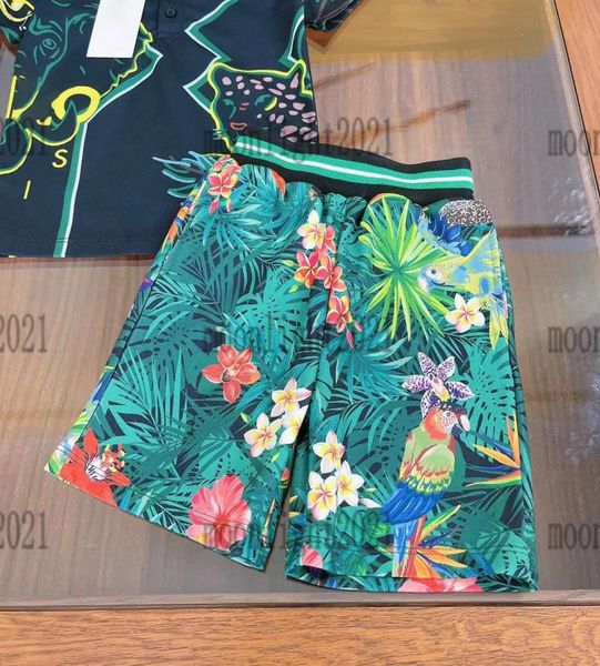 2022 summer boy polo t shirts sets designer short pants green color highend kids summer tracksuits newly boys sports wear beach s8095750, White
2022 summer boy polo t shirts sets designer short pants green color highend kids summer tracksuits newly boys sports wear beach s8095750, White