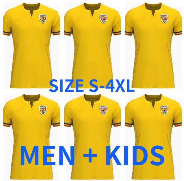 2023 romania soccer jerseys marin stanciu olaru cialdau morutan dragusin tanase home away third jersey football shirts 23 24 man kids kit, Black;yellow
2023 romania soccer jerseys marin stanciu olaru cialdau morutan dragusin tanase home away third jersey football shirts 23 24 man kids kit, Black;yellow