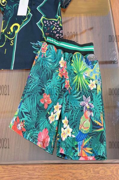 2022 summer boy polo t shirts sets designer short pants green color highend kids summer tracksuits newly boys sports wear beach s2951701, White
2022 summer boy polo t shirts sets designer short pants green color highend kids summer tracksuits newly boys sports wear beach s2951701, White