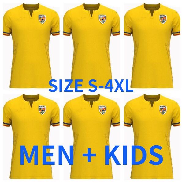 2023 romania soccer jerseys marin stanciu olaru cialdau morutan dragusin tanase home away third jersey football shirts 23 24 man kids kit, Black;yellow
2023 romania soccer jerseys marin stanciu olaru cialdau morutan dragusin tanase home away third jersey football shirts 23 24 man kids kit, Black;yellow