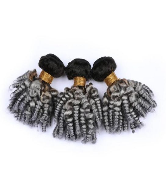 silver grey ombre virgin brazilian human hair aunty funmi bundles deals 3pcs 1bgrey dark root ombre human hair weaves curly exte4097771, Black
silver grey ombre virgin brazilian human hair aunty funmi bundles deals 3pcs 1bgrey dark root ombre human hair weaves curly exte4097771, Black