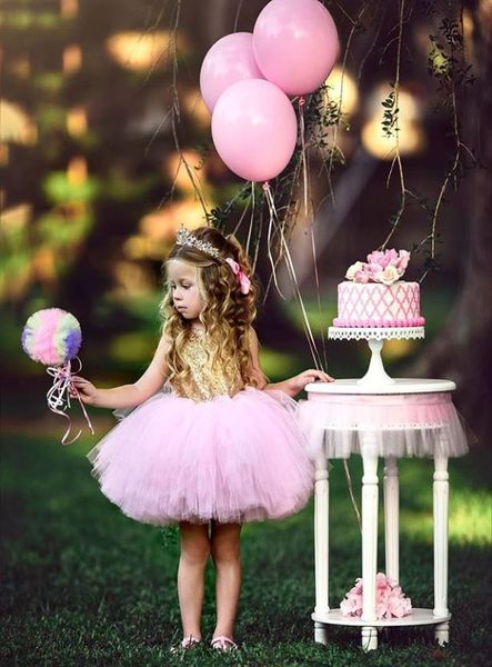 sequins kids babys girls clothes sleeveless lace flower dress tutu party dress backless bridesmaid dresses kid baby girl clothes3482312, Red;yellow
sequins kids babys girls clothes sleeveless lace flower dress tutu party dress backless bridesmaid dresses kid baby girl clothes3482312, Red;yellow