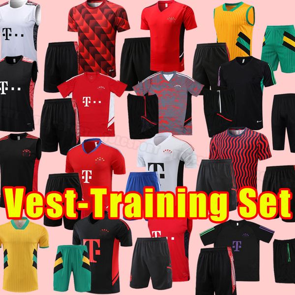 soccer tracksuits 23 24 bayern munich de ligt mane gravenberch sane mazraoui muller davies kimmich tel football shirts coman 2023 2024 vest, Black
soccer tracksuits 23 24 bayern munich de ligt mane gravenberch sane mazraoui muller davies kimmich tel football shirts coman 2023 2024 vest, Black