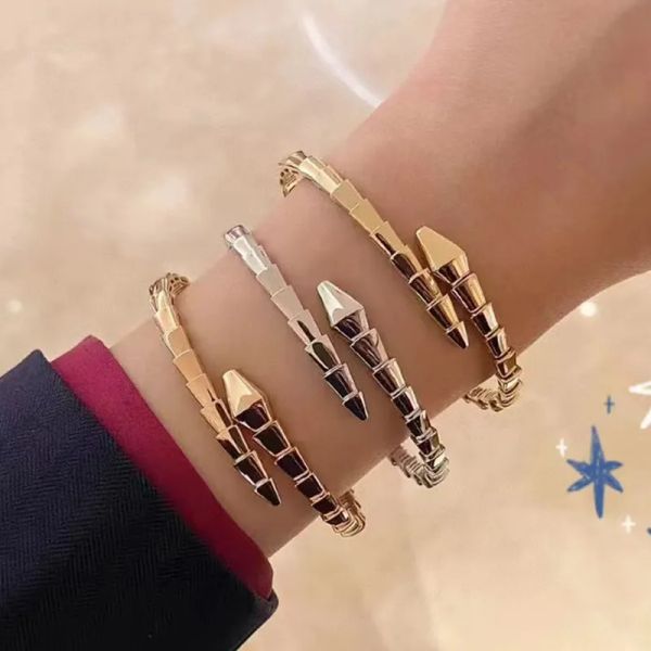 viper love bangle tennis designer jewelry womens bracelet diamonds snake rose gold jewellery couples party wedding charm girlfriend serpent, Black
viper love bangle tennis designer jewelry womens bracelet diamonds snake rose gold jewellery couples party wedding charm girlfriend serpent, Black