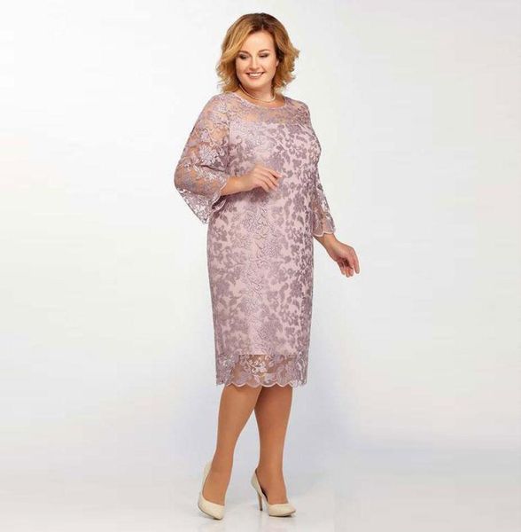 fashion plus size lace mother of the bride dresses sheer jewel neck sheath long sleeves wedding guest dress knee length evening go6833933, Black;red
fashion plus size lace mother of the bride dresses sheer jewel neck sheath long sleeves wedding guest dress knee length evening go6833933, Black;red