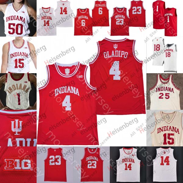 basketball jerseys indiana hoosiers basketball jersey ncaa college oladipo khristian lander trayce jackson-davis geronimo tamar bates logan, Black
basketball jerseys indiana hoosiers basketball jersey ncaa college oladipo khristian lander trayce jackson-davis geronimo tamar bates logan, Black