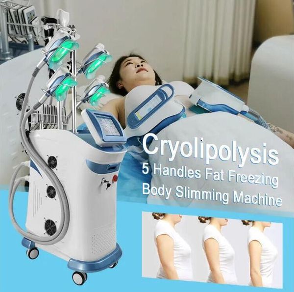 9 in 1 40k cavitation body slimming device cellulite remover cools culpting fat ing criolipolisis machine vertical effect slimming fat ing m
9 in 1 40k cavitation body slimming device cellulite remover cools culpting fat ing criolipolisis machine vertical effect slimming fat ing m