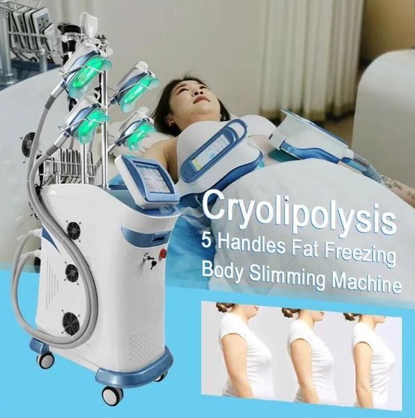 salon use cryolipolysis slimming vertical effect slimming machine fat ing machine body slimming 5 head e fat removal body shaping weight los
salon use cryolipolysis slimming vertical effect slimming machine fat ing machine body slimming 5 head e fat removal body shaping weight los