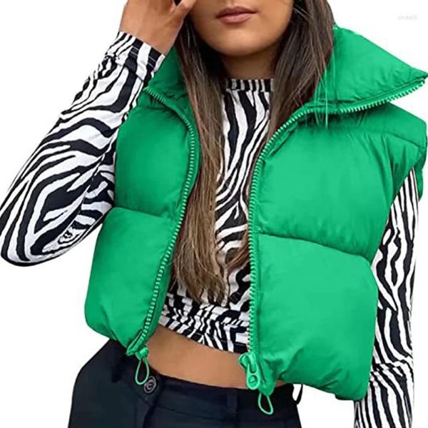 women's vests womens fall winter outerwear solid color puffer down zipper sleeveless jackets coat stand up collar warm vest waistcoat, Black;white
women's vests womens fall winter outerwear solid color puffer down zipper sleeveless jackets coat stand up collar warm vest waistcoat, Black;white
