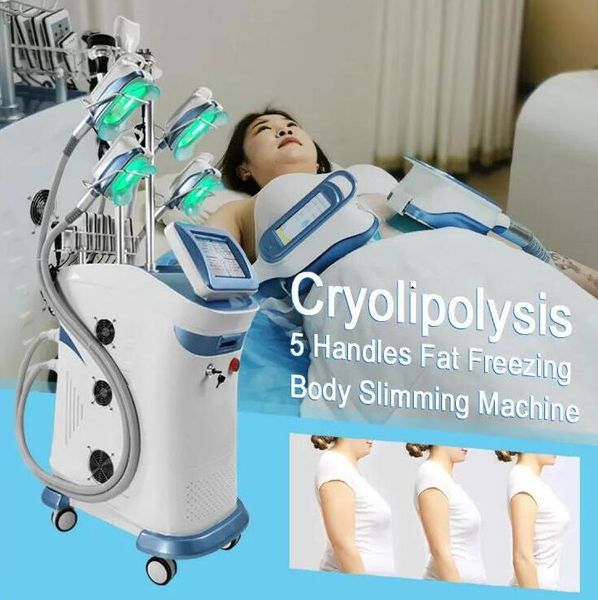 new arrival fat e lose weight cavitation criolipoliziz fat ing machine body slimming 5 head e fat removal body shaping weight loss machine
new arrival fat e lose weight cavitation criolipoliziz fat ing machine body slimming 5 head e fat removal body shaping weight loss machine