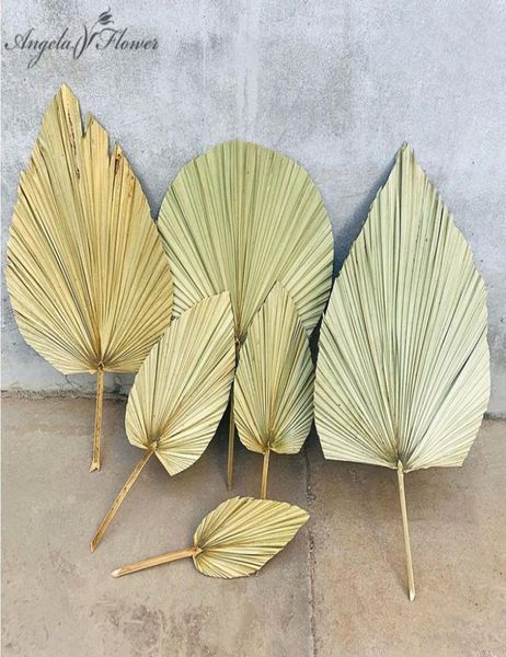 dried flower palm fan leaf plants leaves home decor window wedding arch decor flower arrangement hanging flower wall9731102, Black
dried flower palm fan leaf plants leaves home decor window wedding arch decor flower arrangement hanging flower wall9731102, Black
