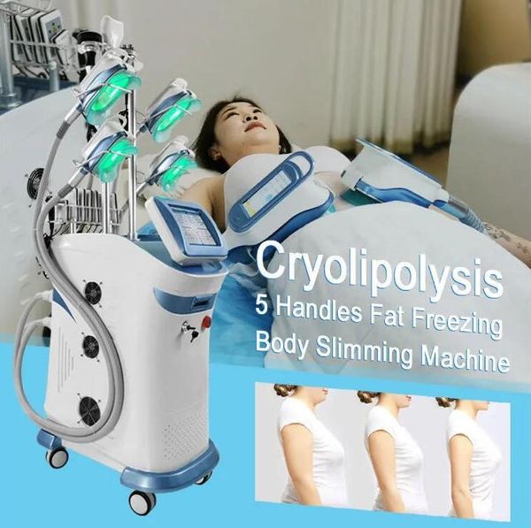 powerful 360 cryo cryolipolysis fat e slimming machine ing cryotherapy l sculpt fat removal body shaping weight loss machine for fat reduce
powerful 360 cryo cryolipolysis fat e slimming machine ing cryotherapy l sculpt fat removal body shaping weight loss machine for fat reduce