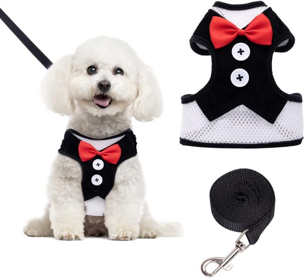 Cat Harness and Leash, Breathable Mesh Dog Harness and Leash Set with Cute Bowtie for Puppy, Kitty Cat, Rabbit, Bunny
Cat Harness and Leash, Breathable Mesh Dog Harness and Leash Set with Cute Bowtie for Puppy, Kitty Cat, Rabbit, Bunny