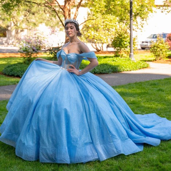 sky blue glittering sweetheart quinceanera dress off shoulder beading vestidos de 15 anos ball gown, Blue;red
sky blue glittering sweetheart quinceanera dress off shoulder beading vestidos de 15 anos ball gown, Blue;red