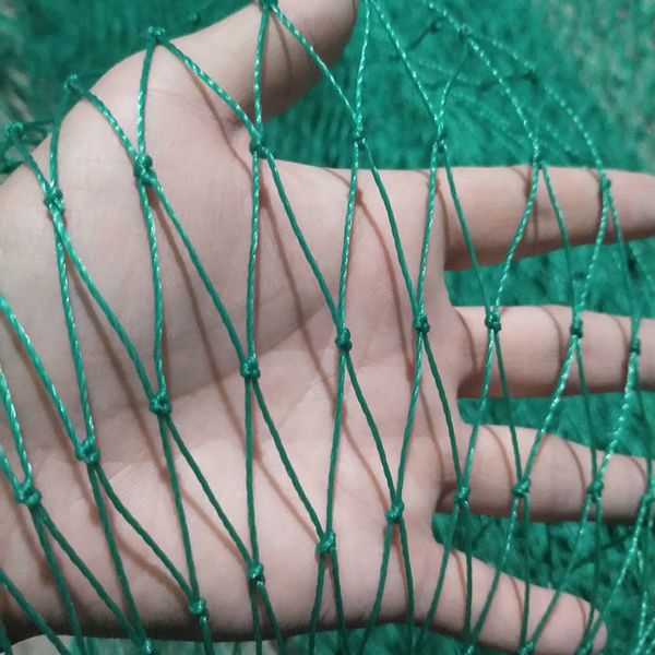 Other Home Garden 624 Strands Heavy Anti Bird Netting Courtyard Fence And Yard Protection Net Chicken Fishing 230707