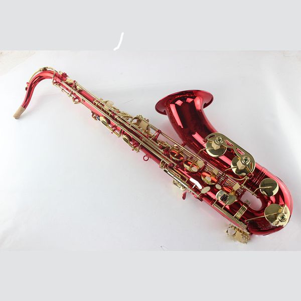 instrument mts-290 b-flat alto saxophone instrument with red lacquer gold keys on the surface
instrument mts-290 b-flat alto saxophone instrument with red lacquer gold keys on the surface