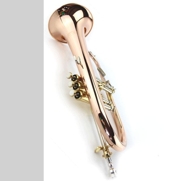 flugelhorn instrument bb b flat flugelhorn with hard case, mouthpiece, cloth and gloves
flugelhorn instrument bb b flat flugelhorn with hard case, mouthpiece, cloth and gloves