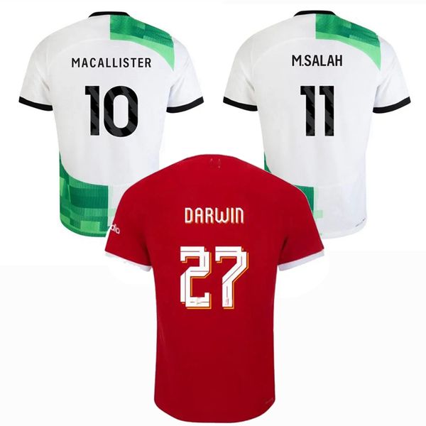 player fans szoboszlai mac allister soccer jerseys 2023 2024 elliott robertson gakpo darwin 23 24 football men kids shirt 4xl, Black;yellow
player fans szoboszlai mac allister soccer jerseys 2023 2024 elliott robertson gakpo darwin 23 24 football men kids shirt 4xl, Black;yellow