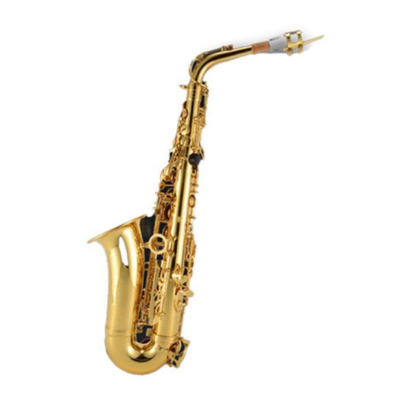 saxophone instruments gold double-barreled alto eb sax pipe examination lacquer gold process
saxophone instruments gold double-barreled alto eb sax pipe examination lacquer gold process