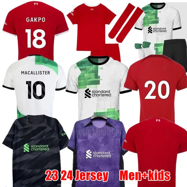 2023 soccer jerseys gakpo darwin 23 24 new mohamed luis diaz alexander arnold football kit shirts men kids uniform a.becker goalkeeper surv, Black;yellow
2023 soccer jerseys gakpo darwin 23 24 new mohamed luis diaz alexander arnold football kit shirts men kids uniform a.becker goalkeeper surv, Black;yellow