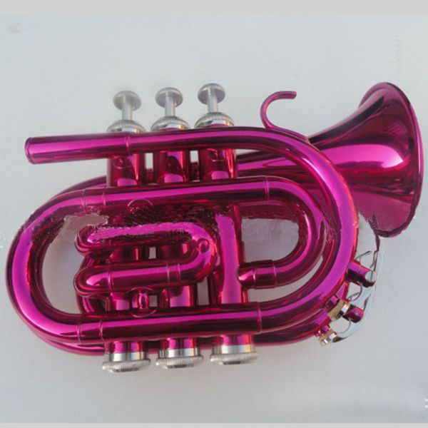 bb b flat pocket trumpet, palm trumpet, brass instrument with hard case, mouthpiece, cloth and gloves, peach
bb b flat pocket trumpet, palm trumpet, brass instrument with hard case, mouthpiece, cloth and gloves, peach
