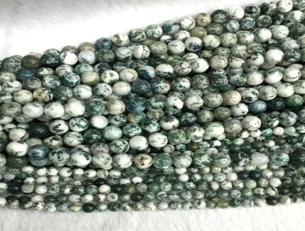 natural genuine green white milky tree agate round jewellery loose ball beads 6mm 8mm 10mm 12mm 155quot 054343020473, Black
natural genuine green white milky tree agate round jewellery loose ball beads 6mm 8mm 10mm 12mm 155quot 054343020473, Black