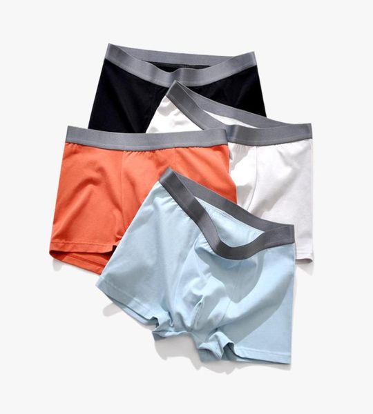 men underwear fresh color cotton men boxers plus size boxer shorts soft underpantsboxer para hombre 4pcs 3xl 4xl 5xl98092266261358, Black;white
men underwear fresh color cotton men boxers plus size boxer shorts soft underpantsboxer para hombre 4pcs 3xl 4xl 5xl98092266261358, Black;white