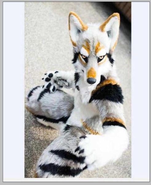 2022 husky dog fox mascot long fur furry costume artificial fur wolf halloween suit6526295, Red;yellow
2022 husky dog fox mascot long fur furry costume artificial fur wolf halloween suit6526295, Red;yellow
