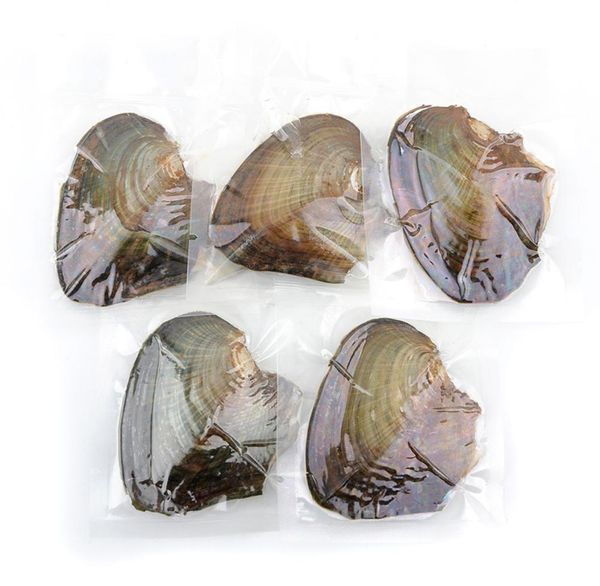 individually wrapped oysters with natural large round pearls 610mm gift jewelry choose7850049, White
individually wrapped oysters with natural large round pearls 610mm gift jewelry choose7850049, White